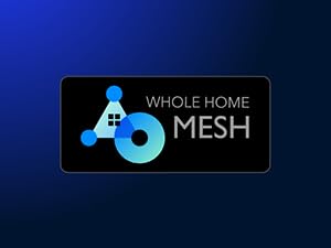 mesh