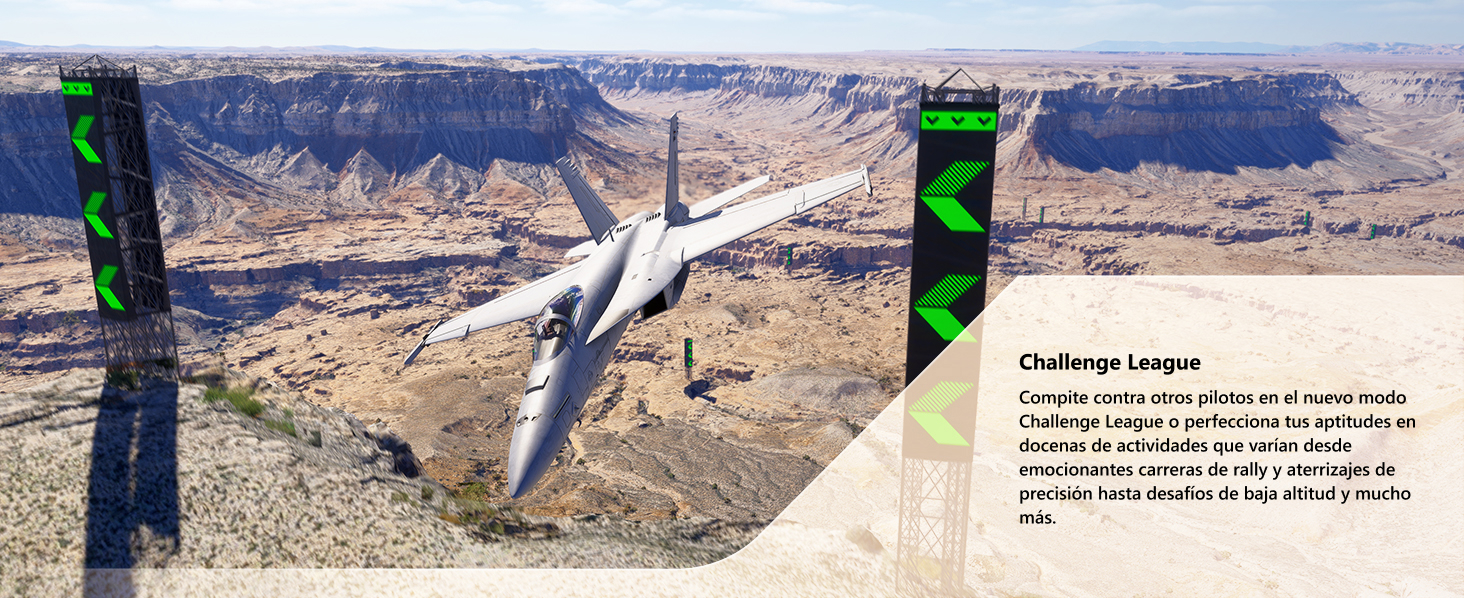 Flight Simulator 2024 Std