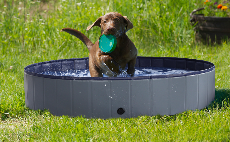 hundepool für kleine hunde hunde pool hundepool 120x30 hundeplanschbecken