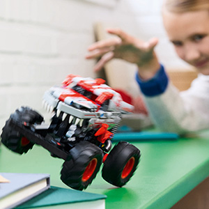 42200_TECHNIC